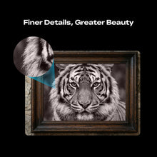 Load image into Gallery viewer, Creality Falcon T1 5-in-1 Laser Engraver 20W( IN STOCK)